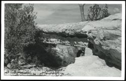 Agate Bridge - Petrified Forest National Monument Postcard