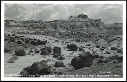 First Forest Loop Trip Scene - Petrified Forest National Monument Postcard