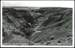 Erosions at the Blue Forest - Petrified Forest Natl Monument Postcard