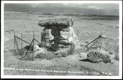 Pedestal Log - Petrified Forest National Monument Postcard