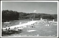 The Beach - Big Ridge State Park Postcard