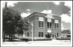 City Hall 1915 Building with Trees and Streetlight Postcard