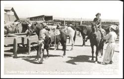 Dudes Taught Here - Palo Duro Canyon State Park Postcard
