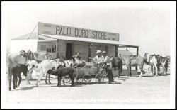 Palo Duro Store with Horses, Donkeys, and Wagon Postcard