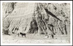 Burros In Front of Spanish Skirt Formation In Timber Creek Canyon Postcard
