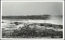 Horseshoe Falls Seen From Goat Island Postcard