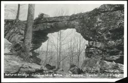 Natural Bridge - Cumberland Mtns. Postcard