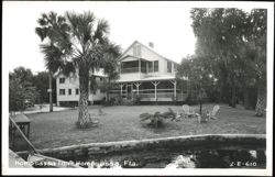 Homosassa Inn with Palm Trees and River View Postcard