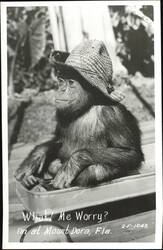 Stock #1190161 Thumbnail