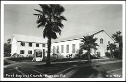 First Baptist Church with Palm Trees, Dunedin Postcard