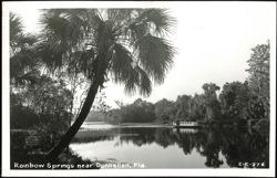 Rainbow Springs with a boat on the water Postcard
