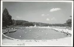 The Beach At Big Ridge State Park Postcard