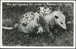 Stock #1190253 Thumbnail