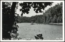 The Lake at Standing Stone State Park Postcard