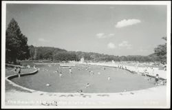The Beach At Big Ridge State Park Postcard