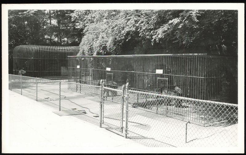 Bear Enclosures at Grant Park Atlanta Georgia