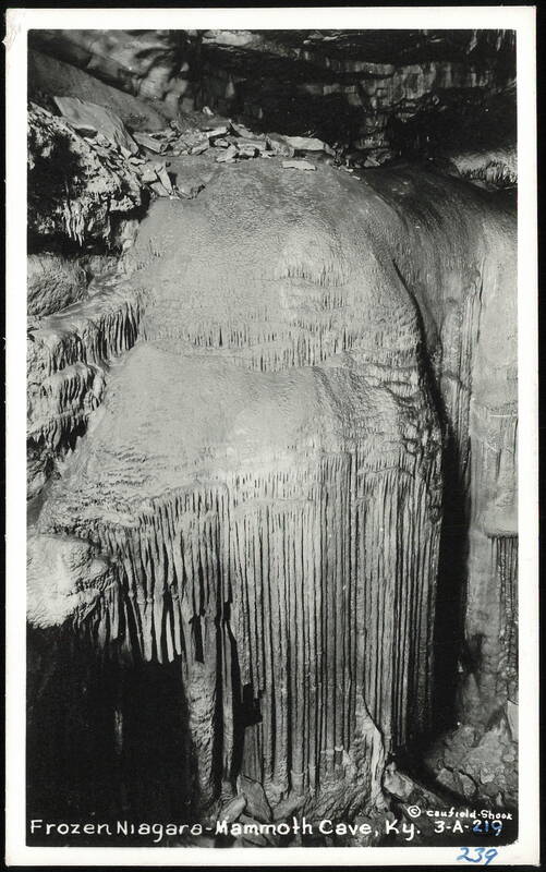 Frozen Niagara Formation, Mammoth Cave Kentucky