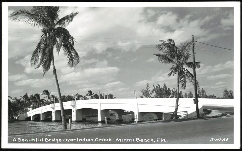 Bridge Over Indian Creek with Palm Trees Miami Beach Florida