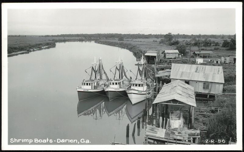 Shrimp Boats Miss Boa, Estellar M., and Natalie at Dock Darien Georgia