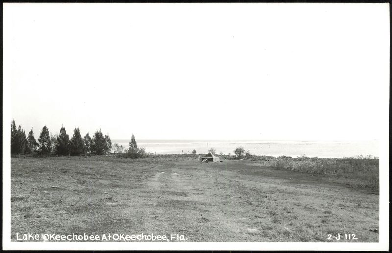 Lake Okeechobee Shoreline with Tent and Trees Florida