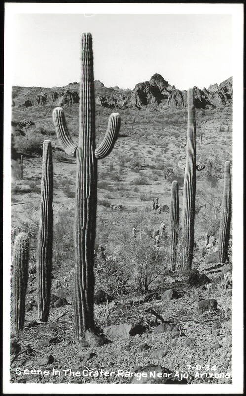 Scene in the Crater Range Near Ajo Arizona