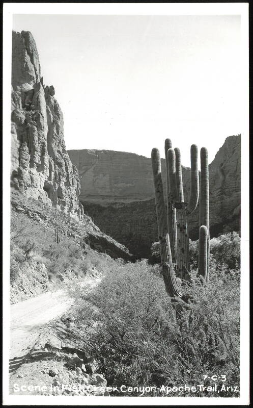 Scene in Fish Creek Canyon Apache Junction Arizona