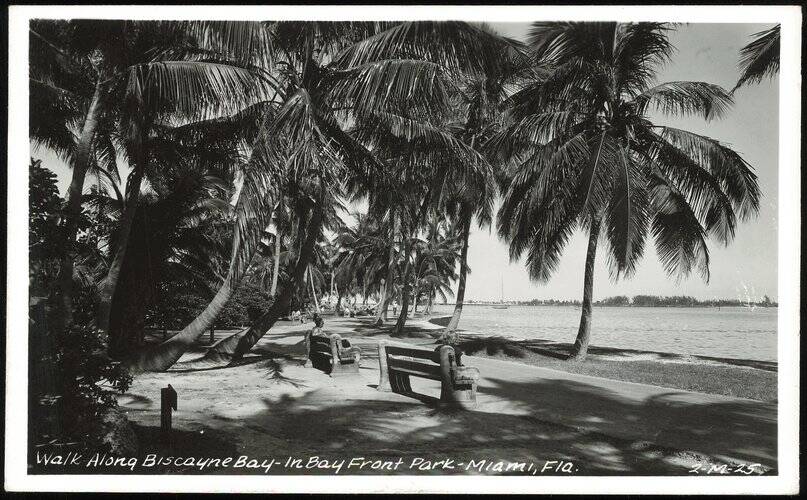 Walk Along Biscayne Bay, Bayfront Park Miami Florida