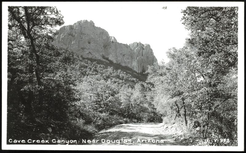 Cave Creek Canyon Near Douglas Arizona