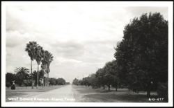 West Bowie Avenue Street Scene with Palm Trees Postcard