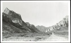 Cave Creek Canyon, Coronado National Forest Postcard