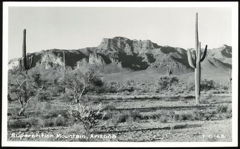 Superstition Mountain Landscape with Saguaro Cacti Arizona