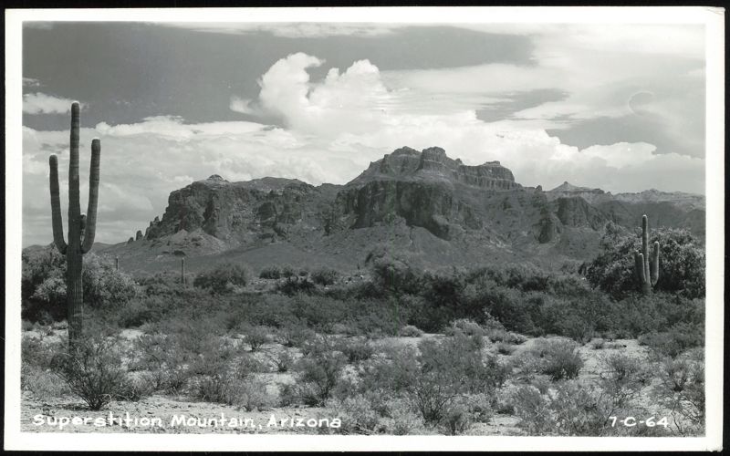 Superstition Mountain Landscape with Saguaro Cacti Arizona