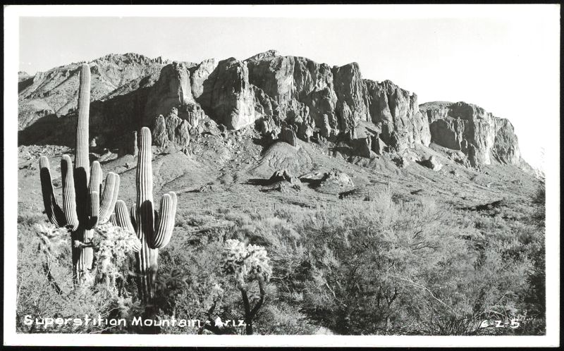 Saguaro Cacti and Superstition Mountain Landscape Arizona