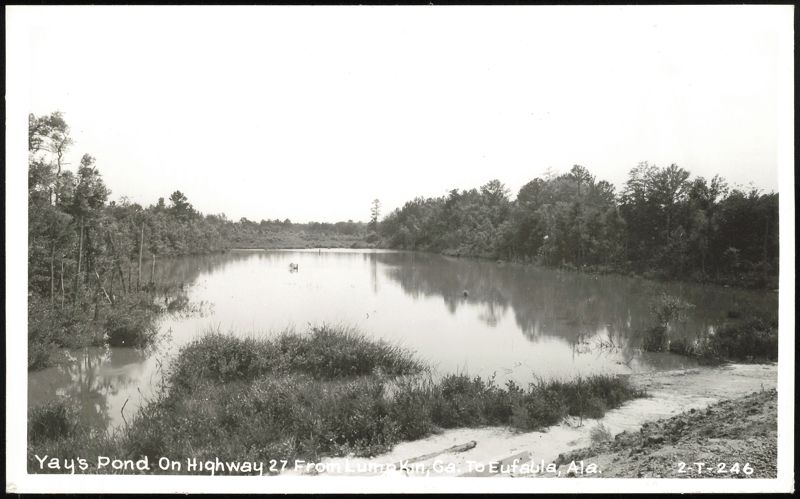 Yay's Pond on Highway 27, Lumpkin, Georgia
