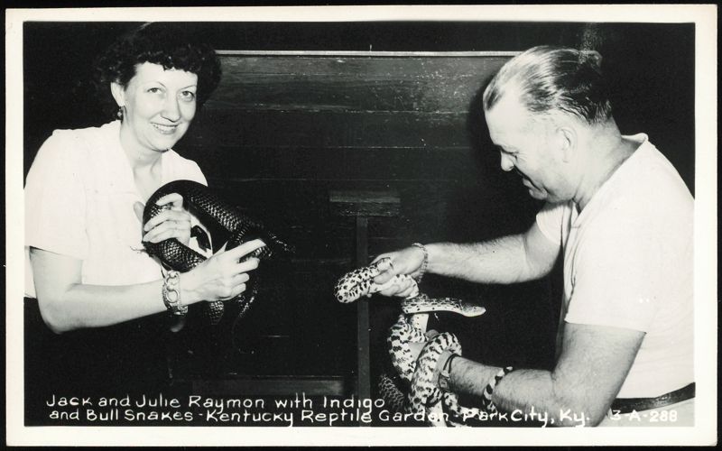 Jack and Julie Raymon with Indigo and Bull Snakes Park City Kentucky