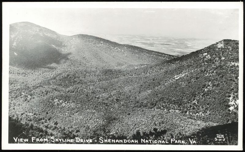 View from Skyline Drive, Shenandoah National Park Virginia