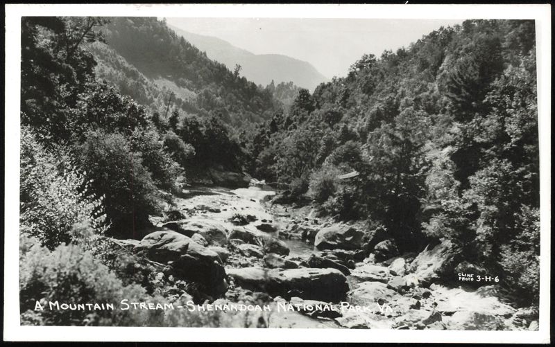 A Mountain Stream in Shenandoah National Park Virginia
