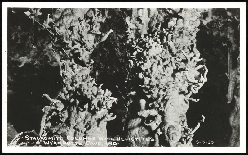 Stalagmite Columns with Helictites in Wyandotte Cave Indiana