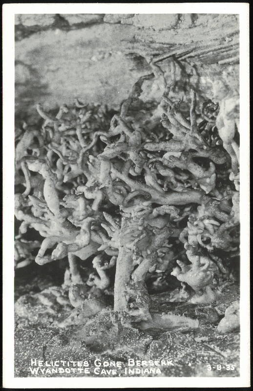Helictites Gone Berserk in Wyandotte Cave