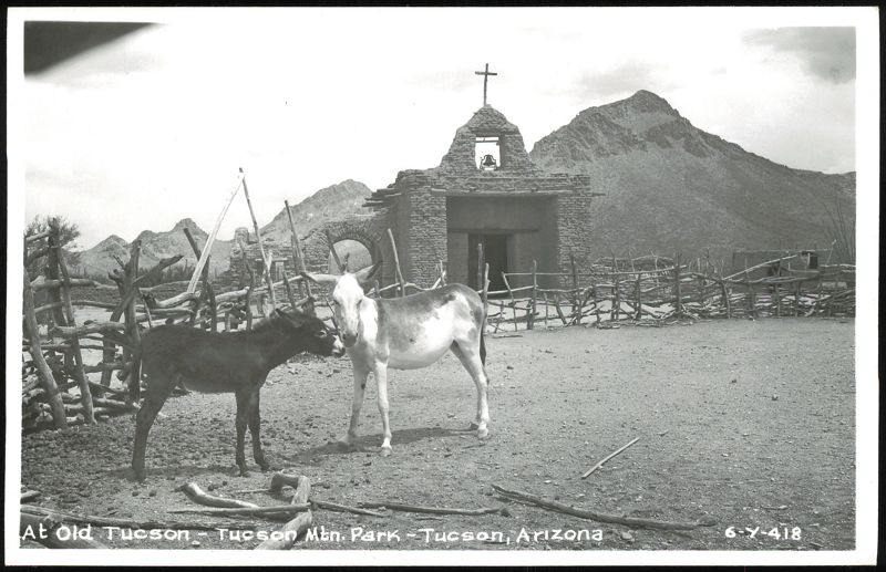 Donkeys at Old Tucson, Tucson Mountain Park Arizona