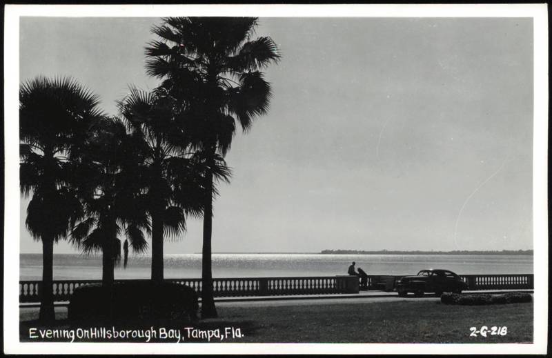 Evening on Hillsborough Bay with Palm Trees and Balustrade Tampa Florida