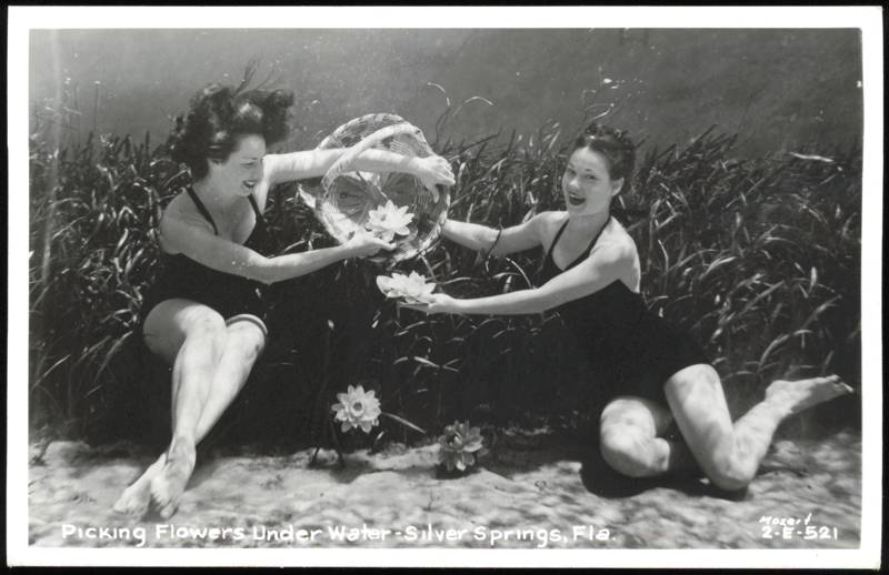 Two Women Picking Flowers Underwater with Basket Silver Springs Florida
