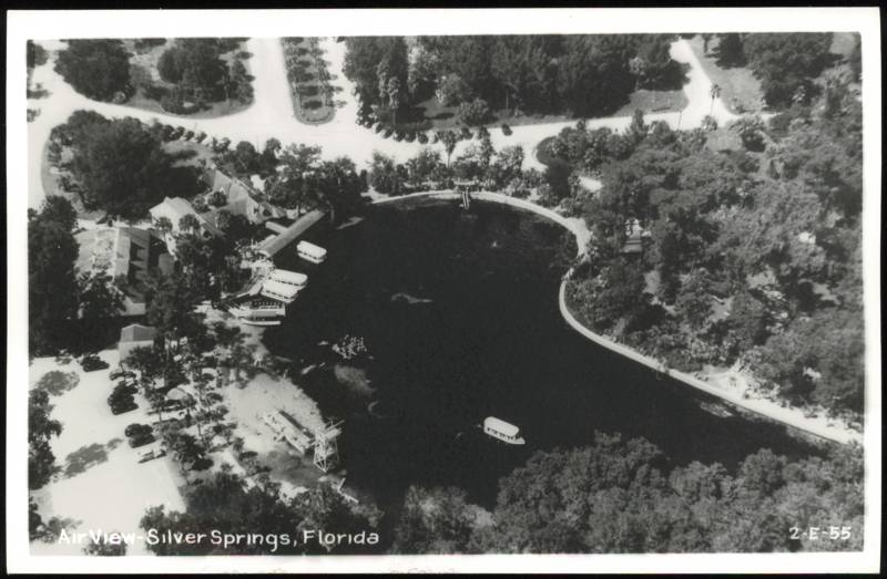Air View of Silver Springs Florida