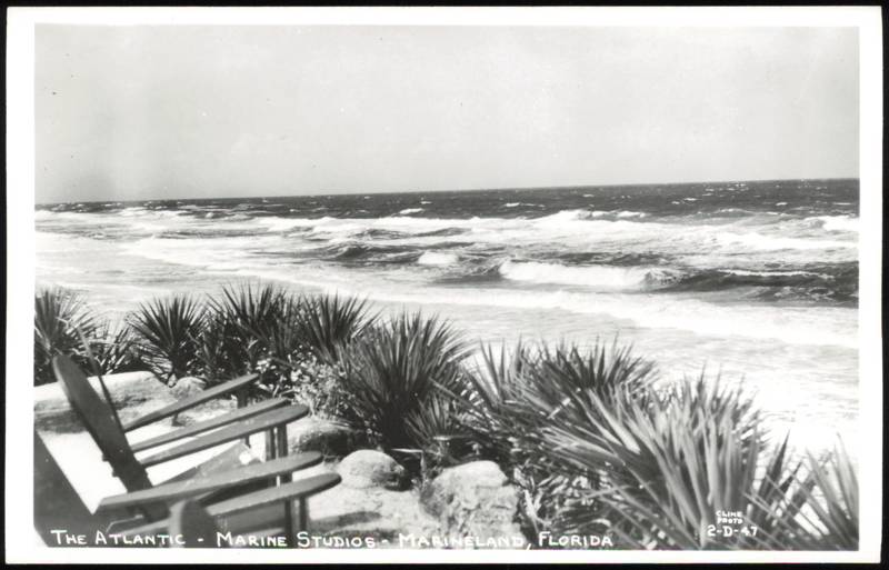 The Atlantic Ocean View from Marine Studios Marineland Florida