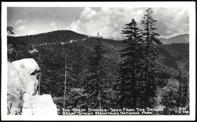 Top of Great Smokies from Skyway to Clingmans Dome North Carolina