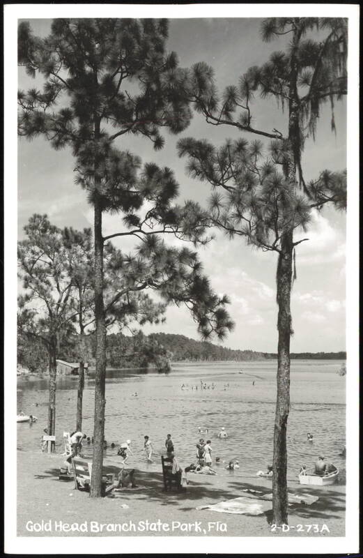 Swimmers at Lake Beach, Gold Head Branch State Park Florida