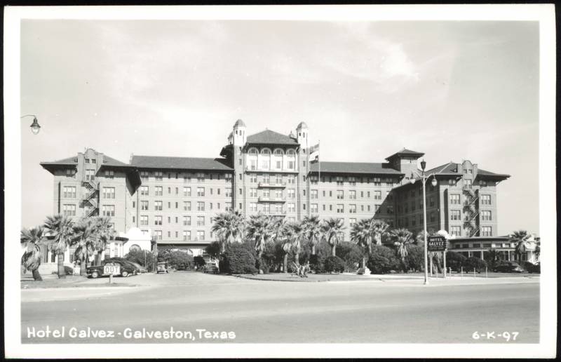 Hotel Galvez Exterior View with Palm Trees Galveston Texas
