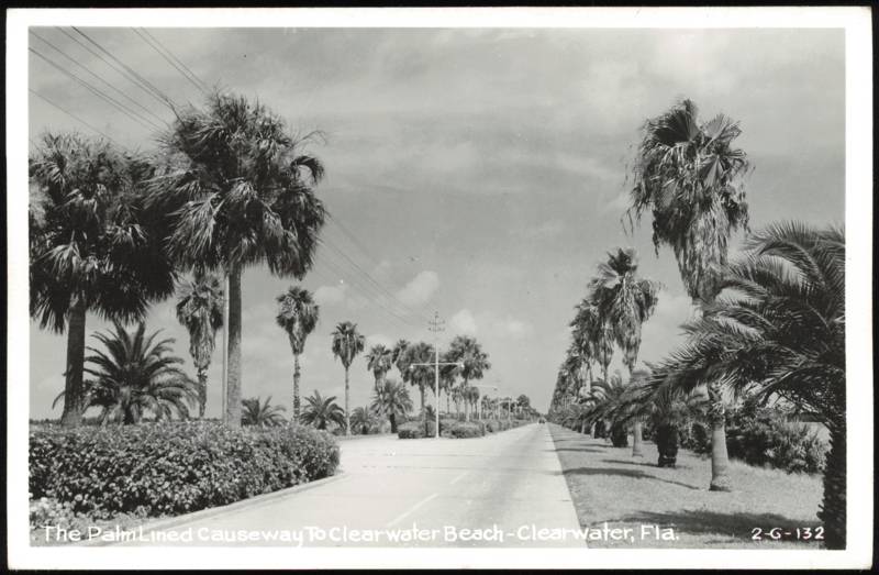 Palm Lined Causeway to Clearwater Beach Florida