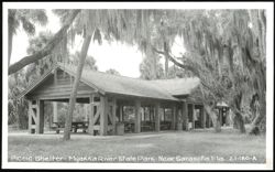 Picnic Shelter at Myakka River State Park Postcard