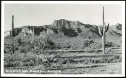 Superstition Mountain Landscape with Saguaro Cacti Postcard